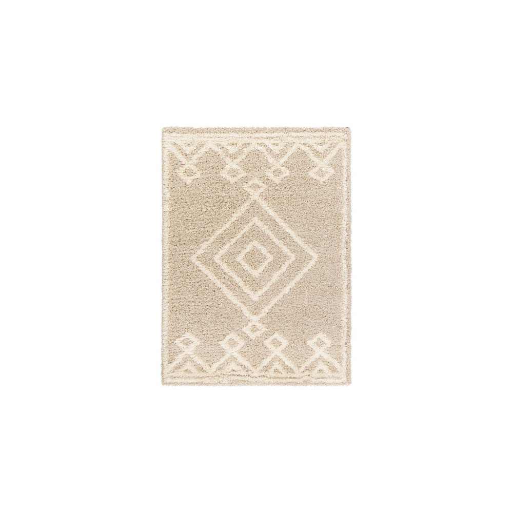 Surya Urban Shag Usg-2312 Rug 5'3" X 7'3"