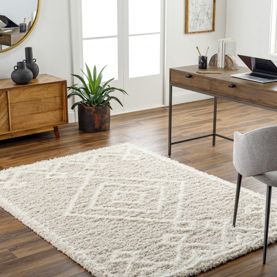 Surya Urban Shag Usg-2312 Rug 5'3" X 7'3"