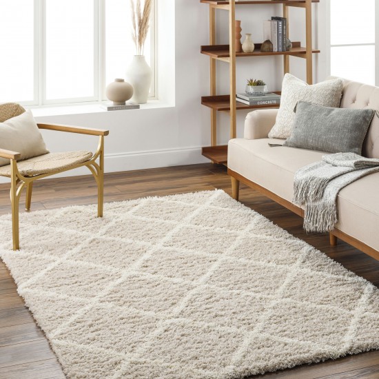 Surya Urban Shag Usg-2319 Rug 5'3" X 7'3"