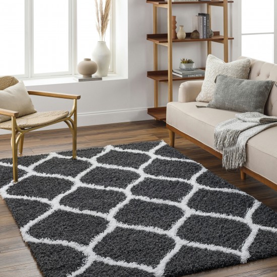 Surya Urban Shag Usg-2322 Rug 5'3" X 7'3"