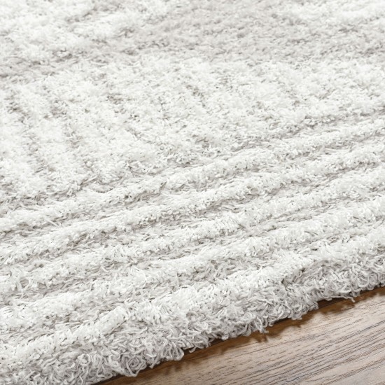 Surya Urban Shag Usg-2325 Rug 7'10" X 10'3"