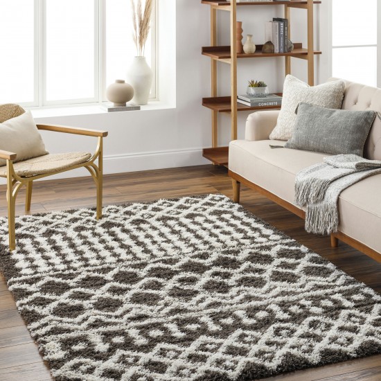 Surya Urban Shag Usg-2342 Rug 5'3" X 7'3"