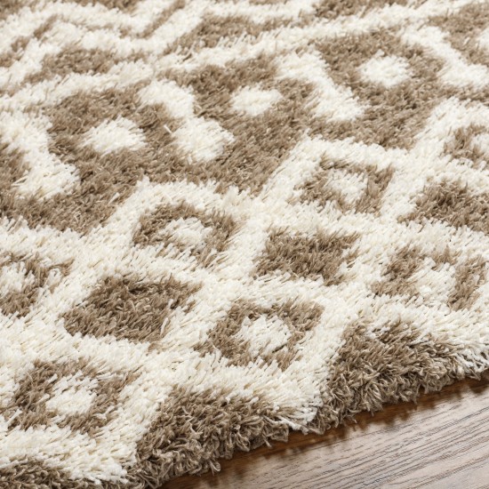 Surya Urban Shag Usg-2343 Rug 7'10" X 10'3"