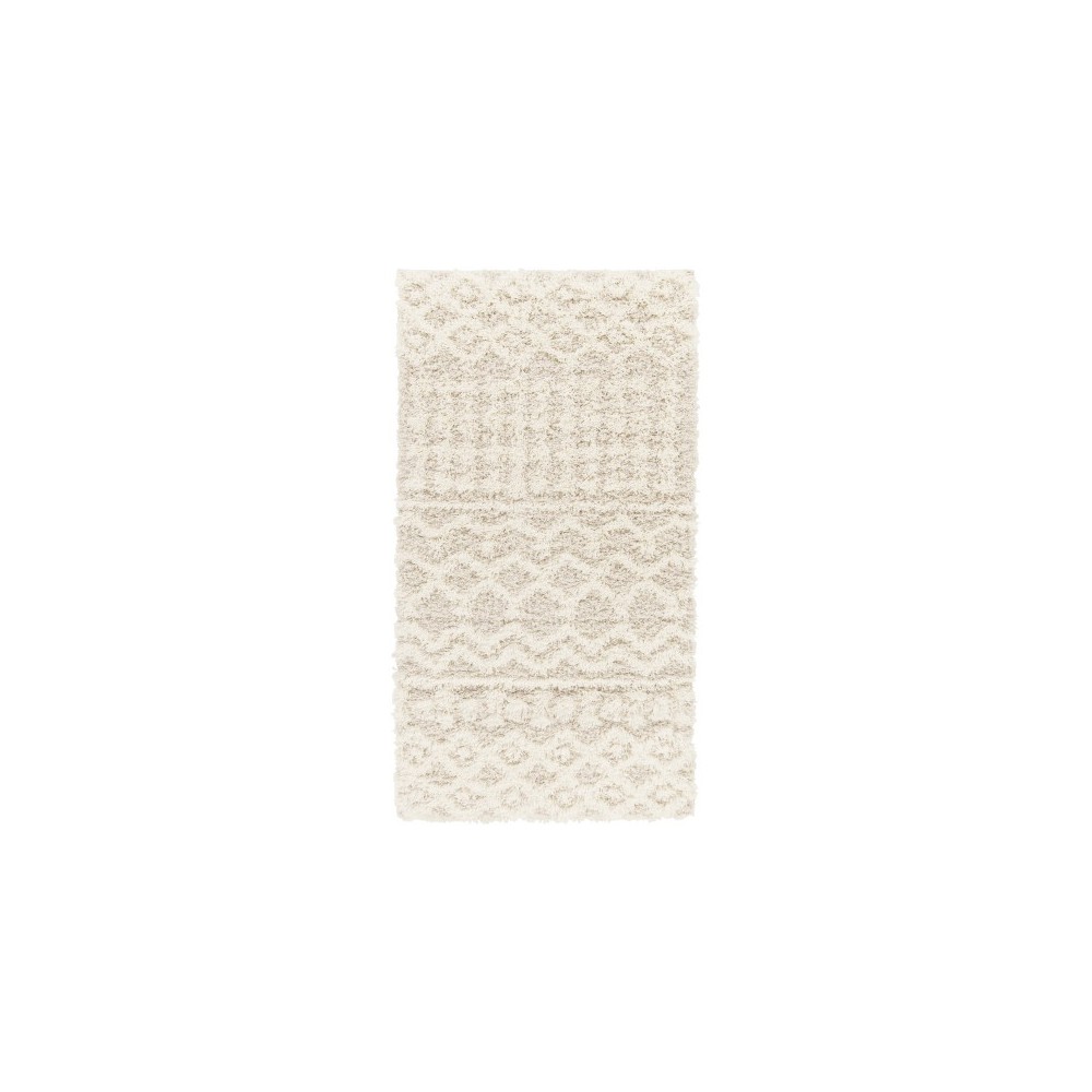 Surya Urban Shag Usg-2345 Rug 2'7" X 7'3"