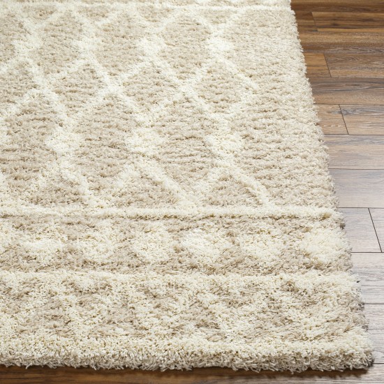 Surya Urban Shag Usg-2345 Rug 2'7" X 7'3"