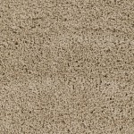 Surya Verde Vde-2301 Rug 7'10" X 10'