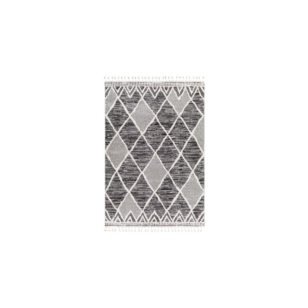 Surya Valencia Vlc-2301 Black Rug 2' X 3'