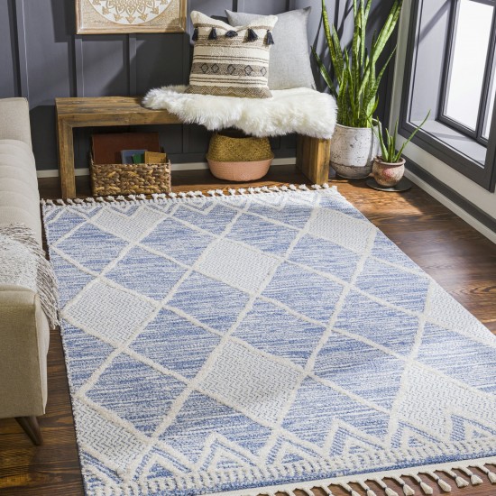 Surya Valencia Vlc-2302 Dark Blue Rug 2' X 3'