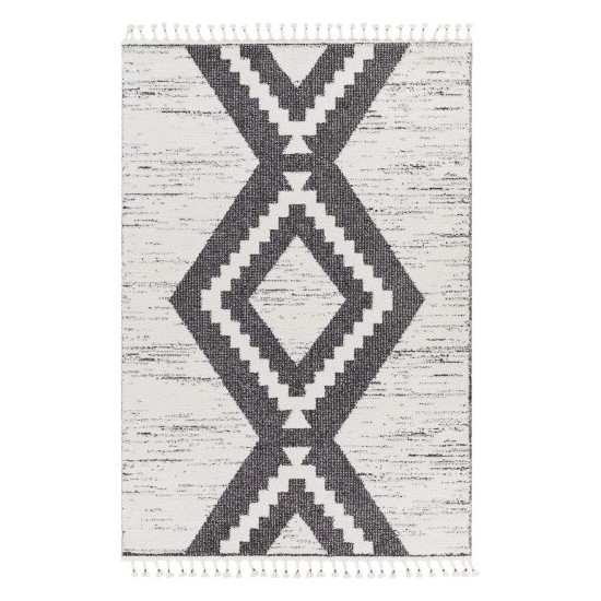 Surya Valencia Vlc-2303 Black Rug 2' X 3'