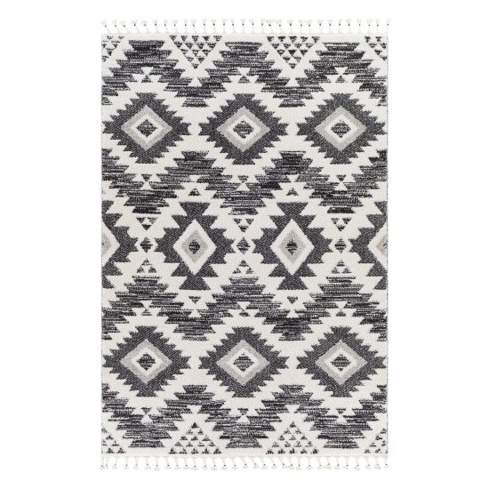 Surya Valencia Vlc-2306 Black Rug 2' X 3'