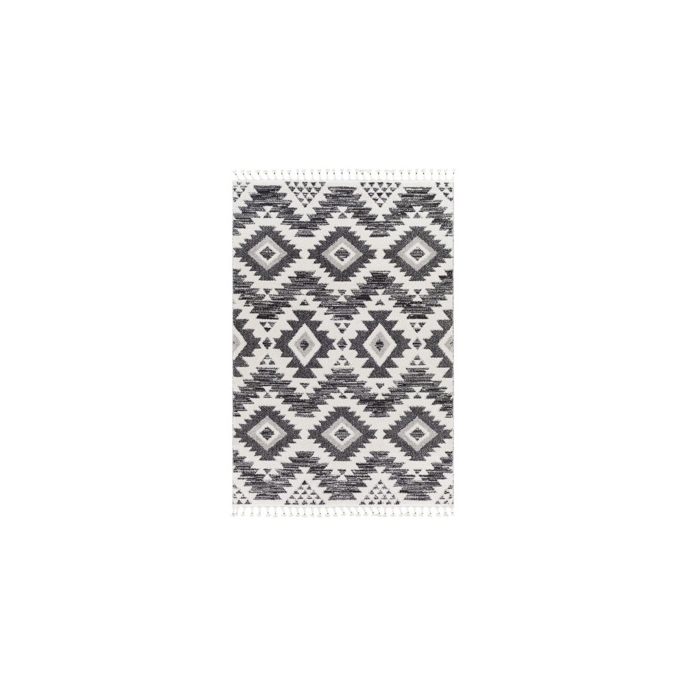 Surya Valencia Vlc-2306 Black Rug 2' X 3' Surya Valencia Vlc-2306 Black Rug 2' X 3'