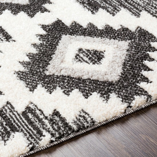 Surya Valencia Vlc-2306 Black Rug 2' X 3'