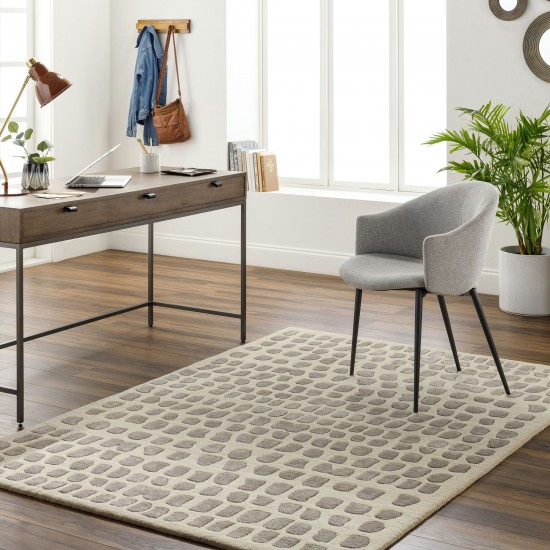 Surya Vilnius Vns-2303 Rug 2' X 3'