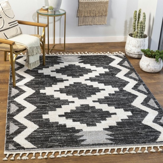 Surya Valencia Vlc-2307 Black Rug 2' X 3'