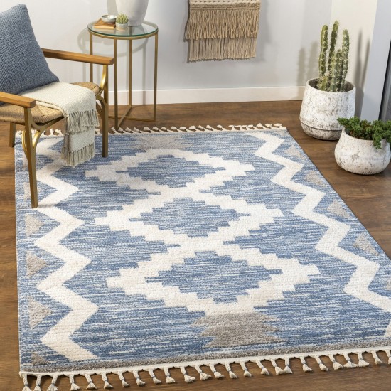 Surya Valencia Vlc-2308 Dark Blue Rug 2' X 3'