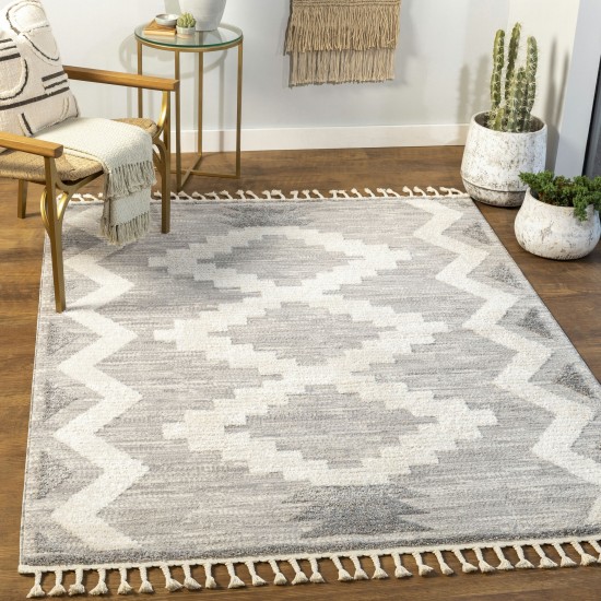 Surya Valencia Vlc-2309 Medium Gray Rug 2' X 3'