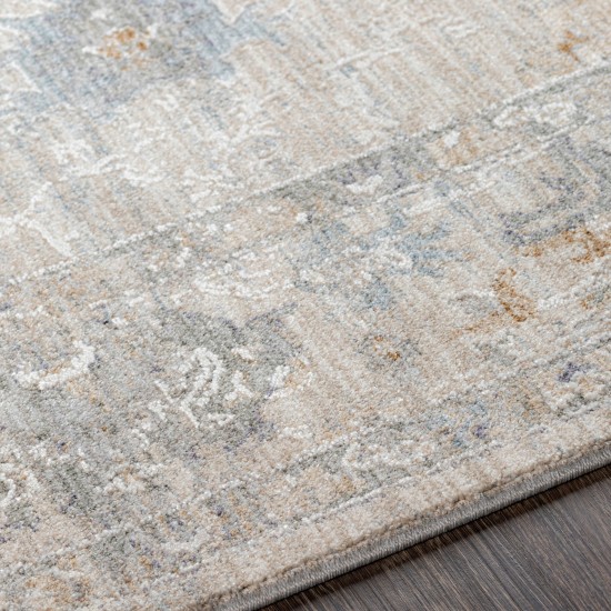 Surya Virginia Vgn-2301 Sage Rug 2' X 3'11"