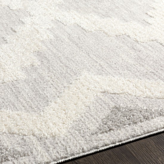 Surya Valencia Vlc-2309 Medium Gray Rug 5'3" X 7'