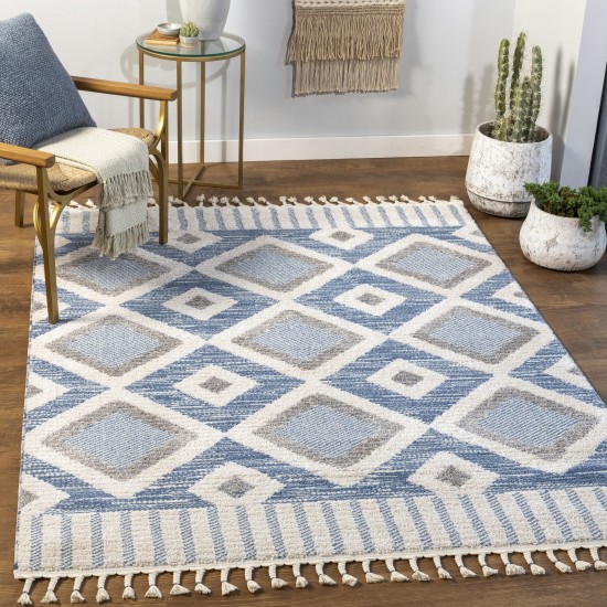 Surya Valencia Vlc-2311 Dark Blue Rug 2' X 3'