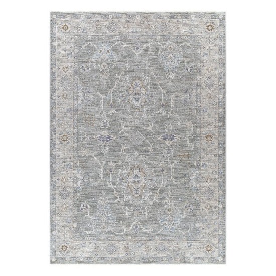 Surya Virginia Vgn-2303 Sage Rug 2' X 3'11"