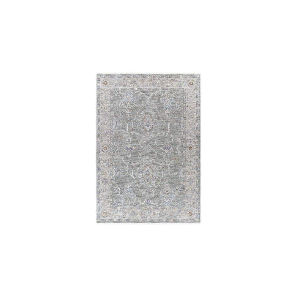 Surya Virginia Vgn-2303 Sage Rug 2' X 3'11"