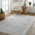 Surya Virginia Vgn-2303 Sage Rug 2' X 3'11"