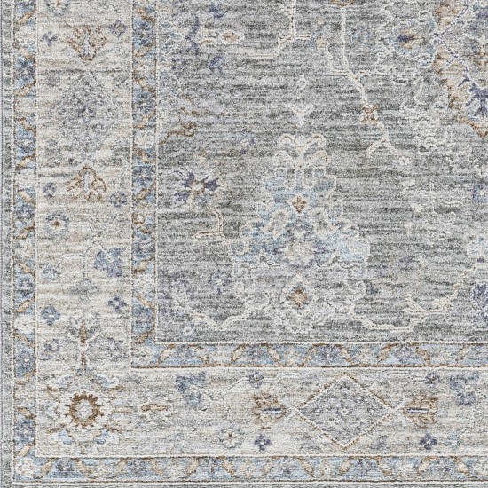 Surya Virginia Vgn-2303 Sage Rug 2' X 3'11"