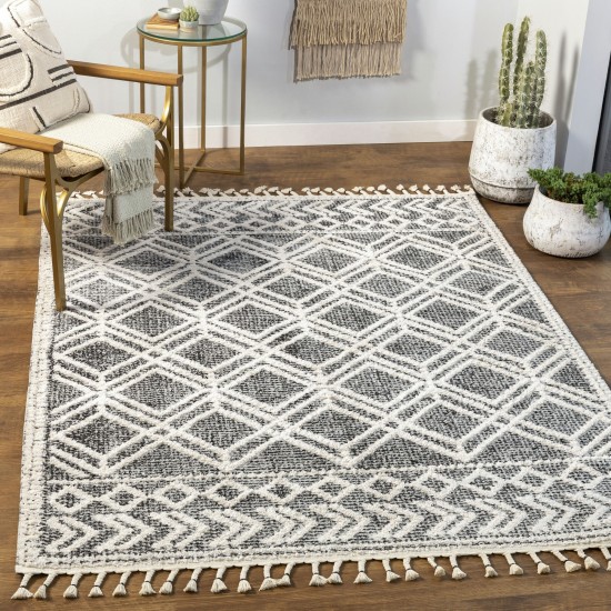 Surya Valencia Vlc-2313 Black Rug 2' X 3'