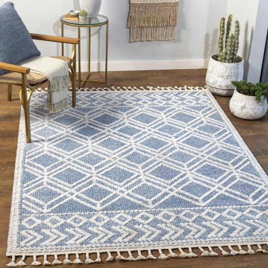 Surya Valencia Vlc-2314 Dark Blue Rug 2' X 3'