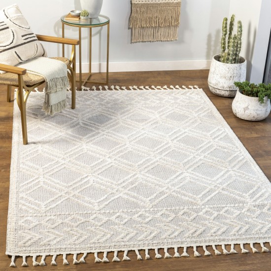 Surya Valencia Vlc-2315 Medium Gray Rug 2' X 3'