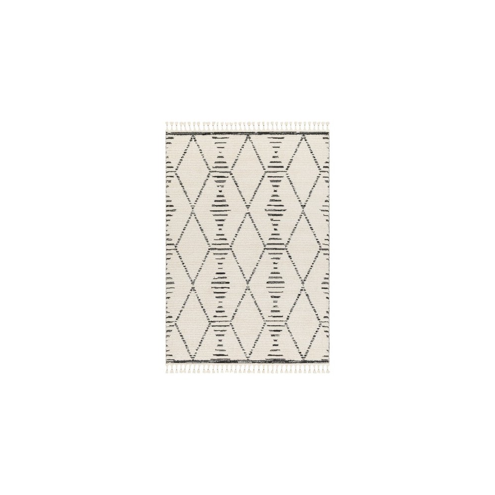 Surya Valencia Vlc-2316 Rug 2' X 3'