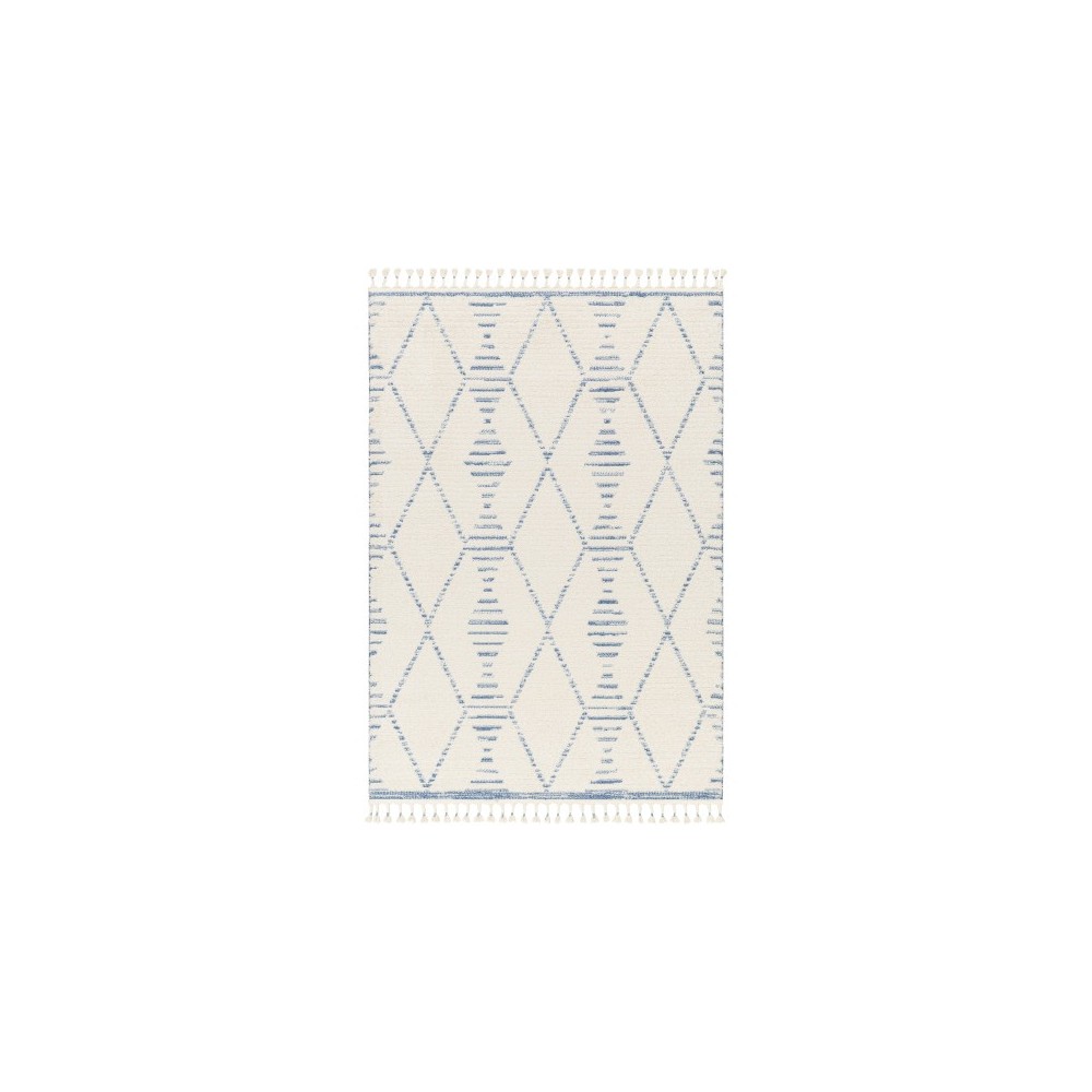 Surya Valencia Vlc-2317 Rug 2' X 3'