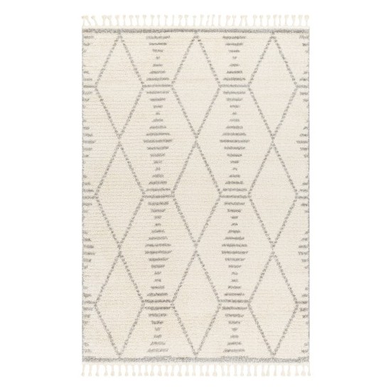 Surya Valencia Vlc-2318 Rug 2' X 3'