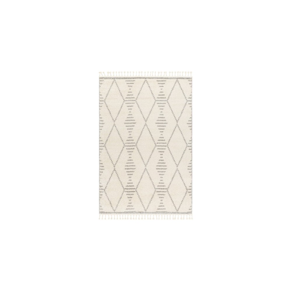 Surya Valencia Vlc-2318 Rug 2' X 3'