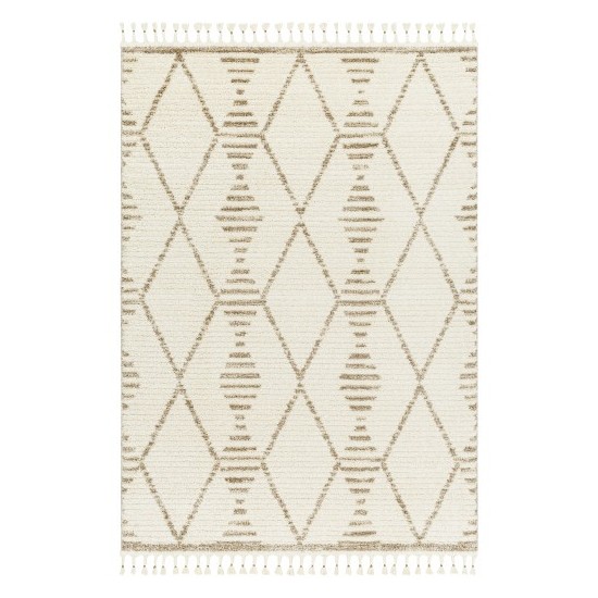 Surya Valencia Vlc-2319 Rug 2' X 3'