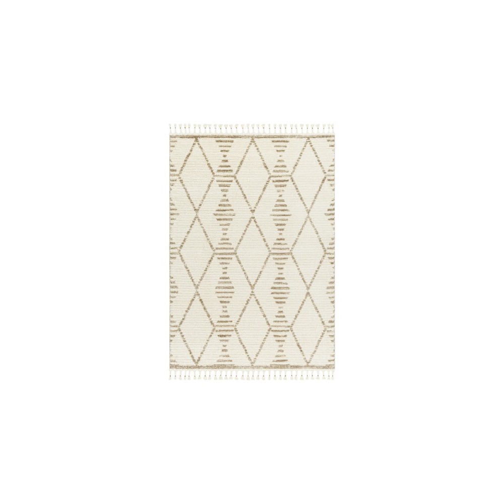 Surya Valencia Vlc-2319 Rug 2' X 3'