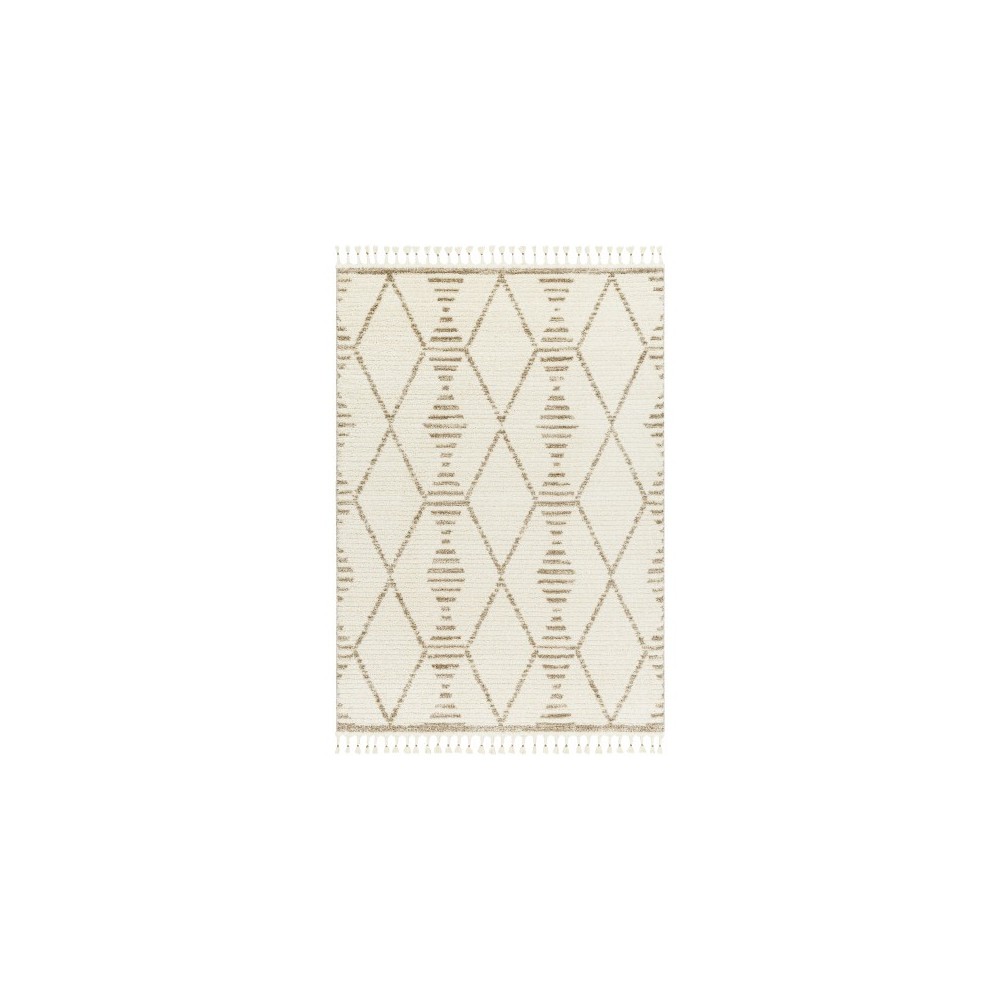 Surya Valencia Vlc-2319 Rug 5'3" X 7' Surya Valencia Vlc-2319 Rug 5'3" X 7'