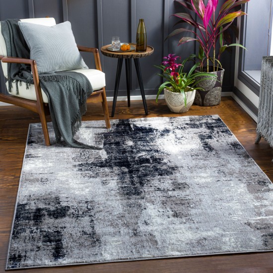 Surya Wanderlust Wnl-2327 Rug 2' X 3'