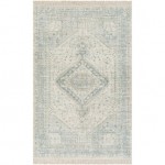 Surya Zainab Zai-2303 Sage Rug 8'10" X 12'