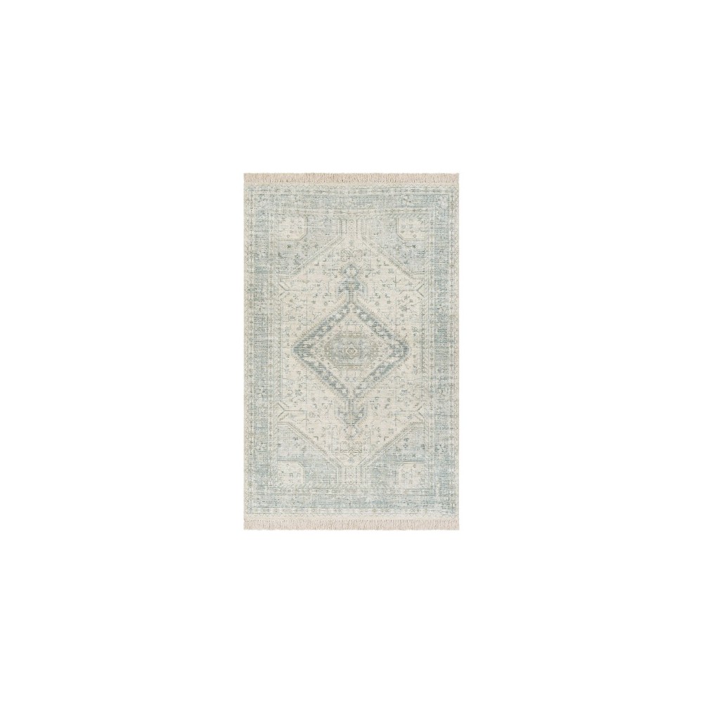Surya Zainab Zai-2303 Sage Rug 8'10" X 12' Surya Zainab Zai-2303 Sage Rug 8'10" X 12'