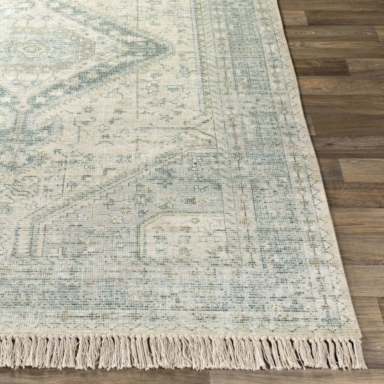 Surya Zainab Zai-2303 Sage Rug 8'10" X 12'