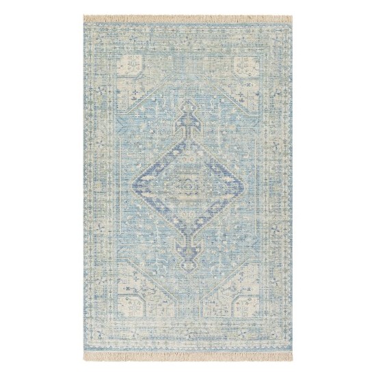 Surya Zainab Zai-2304 Aqua Rug 8'10" X 12'