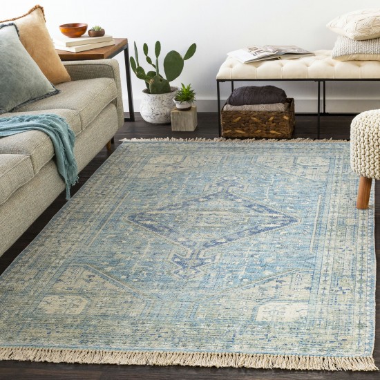 Surya Zainab Zai-2304 Aqua Rug 8'10" X 12'