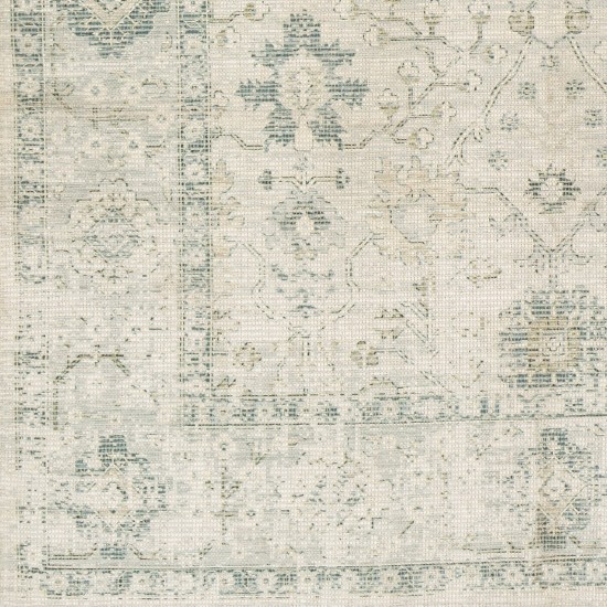 Surya Zainab Zai-2308 Sage Rug 8'10" X 12'