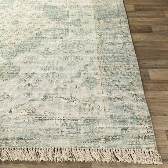 Surya Zainab Zai-2311 Sage Rug 8'10" X 12'