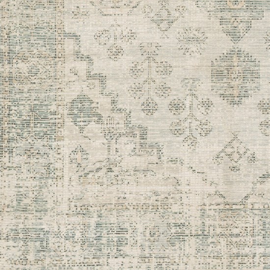 Surya Zainab Zai-2311 Sage Rug 8'10" X 12'