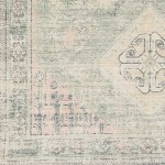 Surya Zainab Zai-2316 Sage Rug 8'10" X 12'