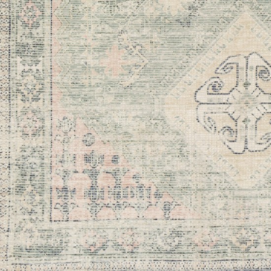 Surya Zainab Zai-2316 Sage Rug 8'10" X 12'