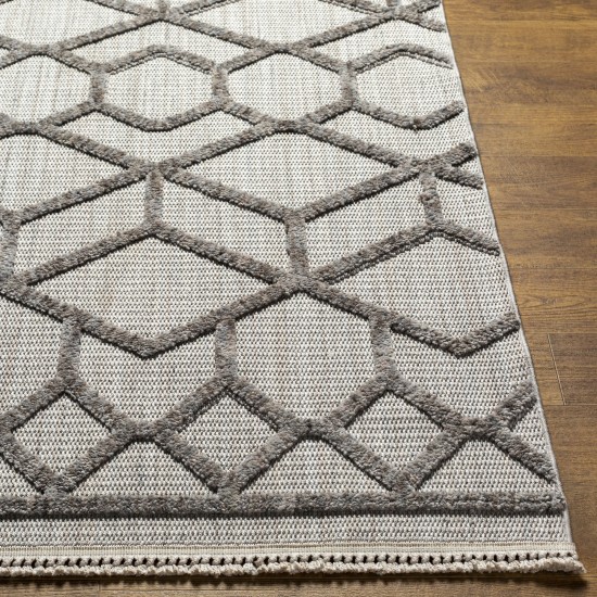 Surya Zaragoza Light Gray Rug 2'7" X 7'3"