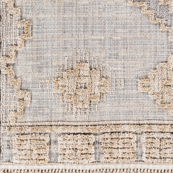 Surya Zaragoza Zrz-2312 Light Beige Rug 2'7" X 7'3"